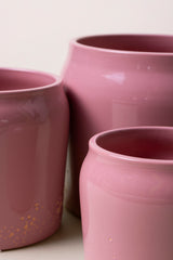 close up of three pink planters