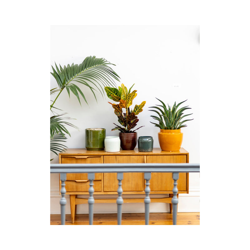 five glazed plant pots with different colors and with plants on a bureau