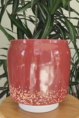 BOLBO - Earthenware Glazed Plant Pot, Terracotta Red
