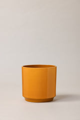 Terracotta glazed plant pot in yellow color