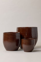 Set of 3 terracotta glazed plant pots in dark brown color with different sizes.