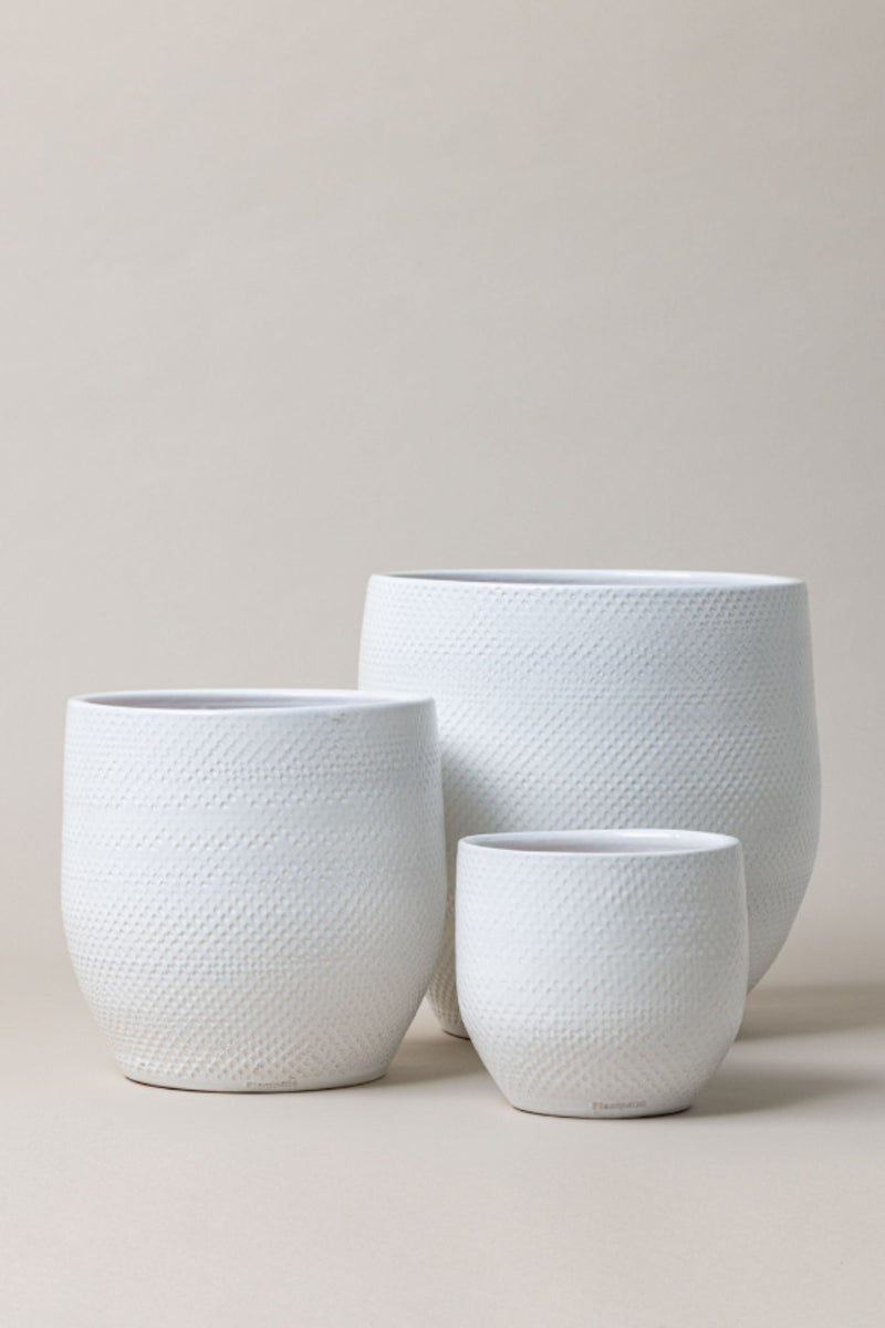 Set of 3 terracotta glazed plant pots in white color. 