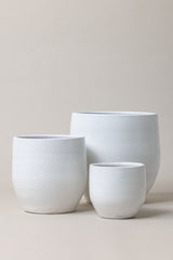 Set of 3 terracotta plant pots in white color.
