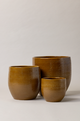 Set of 3 terracotta glazed plant pots in caramel color of different sizes.