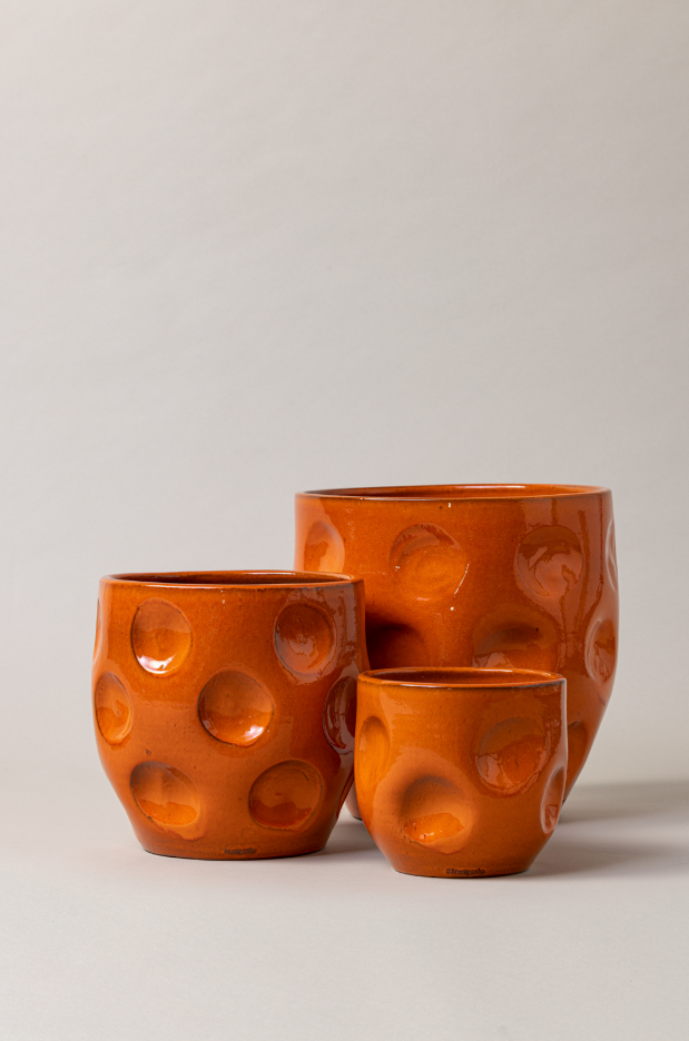 orange ceramic plant pot LUA