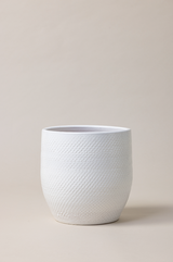Terracotta glazed plant pot in white color.