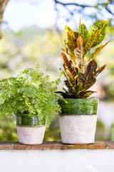 Set of 2 aged terracotta glazed plant pots  in green color.