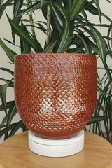 CATO PACK - Terracotta Glazed Plant Pots Set, Hickory Brown
