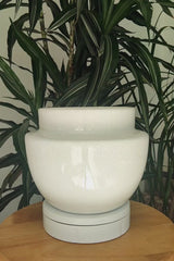 BILHA - Earthenware Glazed Plant Pot, White Craclé