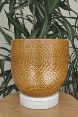 CATO PACK - Terracotta Glazed Plant Pots Set, Caramel
