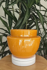 BILHA - Earthenware Glazed Plant Pot, Amber Yellow