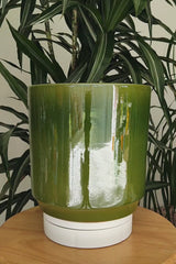 ROLO - Earthenware Glazed Plant Pot, Forest Green