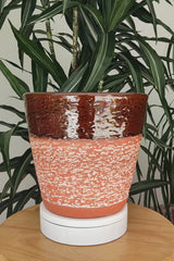TOSCO PACK - Terracota Glazed Plant Pots Set, Hickory Brown