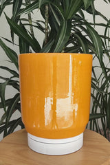 ROLO PACK - Earthenware Glazed Plant Pots Set, Amber Yellow