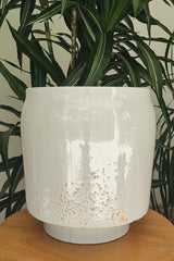 BOLBO - Earthenware Glazed Plant Pot, White