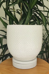 CATO - Terracotta Glazed Plant Pot, White