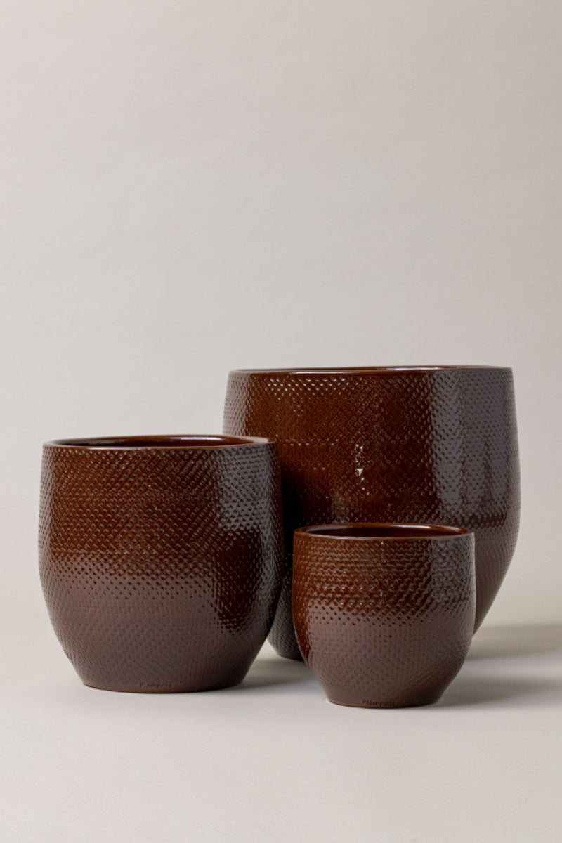 brown pot plant CATO PACK