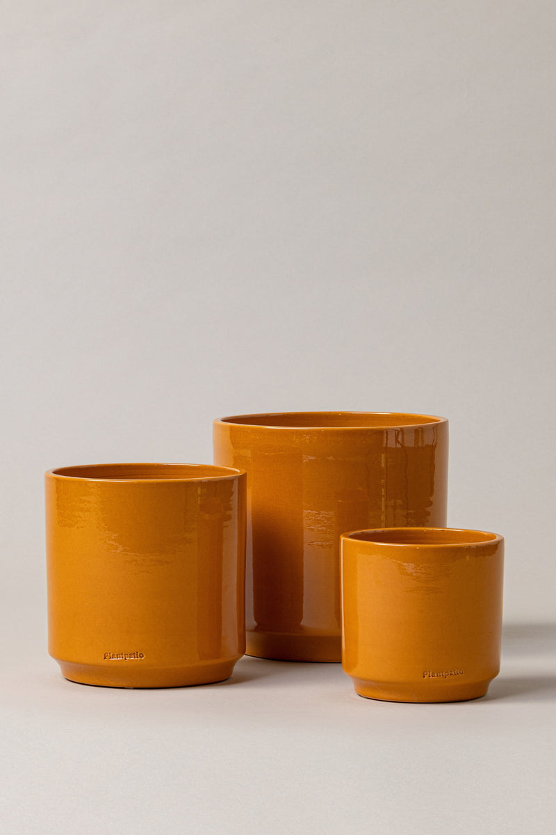 Set of three Terracotta glazed plant pots of different sizes in yellow color