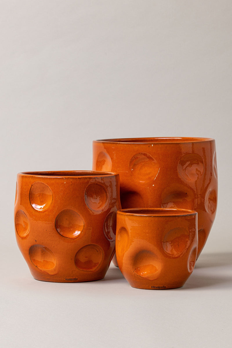 Set of 3 terracotta plant pots in orange color.
