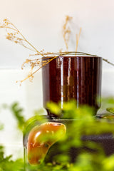 Terracotta glazed plant pot in brown color