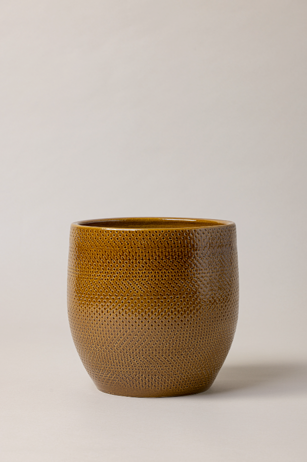 Terracotta glazed plant pot in caramel color. 