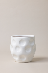 Terracotta glazed plant pot in white color.