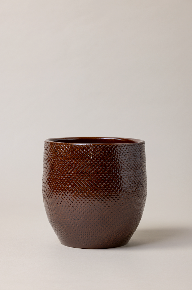 Terracotta glazed plant pot in dark brown color. 