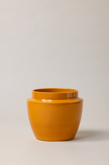 Terracotta glazed plant pot in yellow color