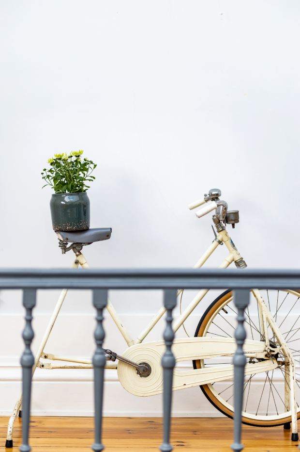 Terracotta glazed plant pot in juniper green color with plant standing on a bicycle